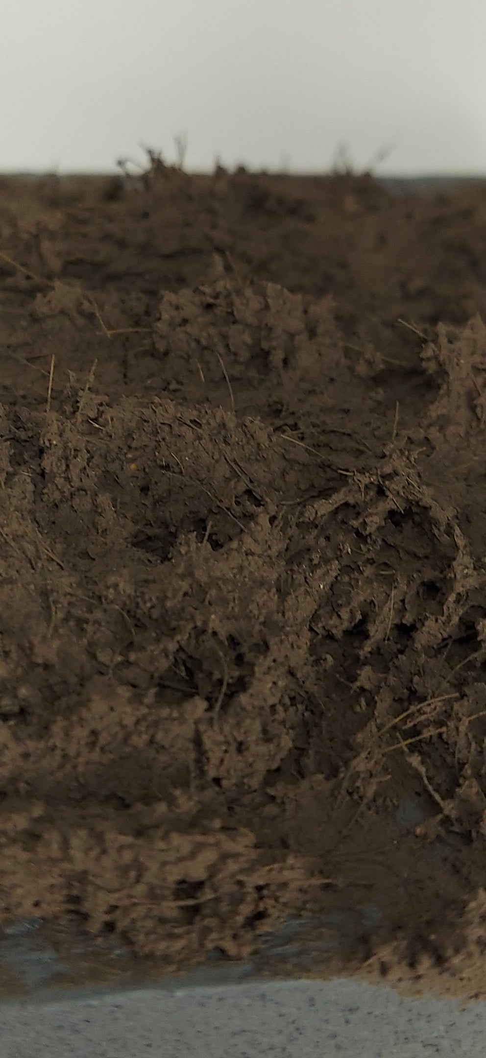 Kursk Field Dry Mud