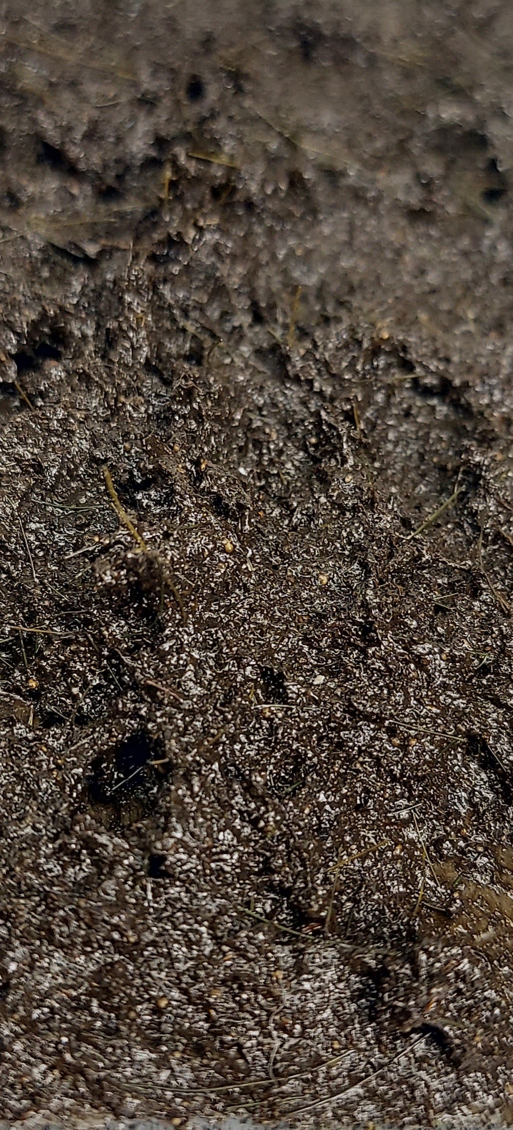 Kursk Field Wet Mud