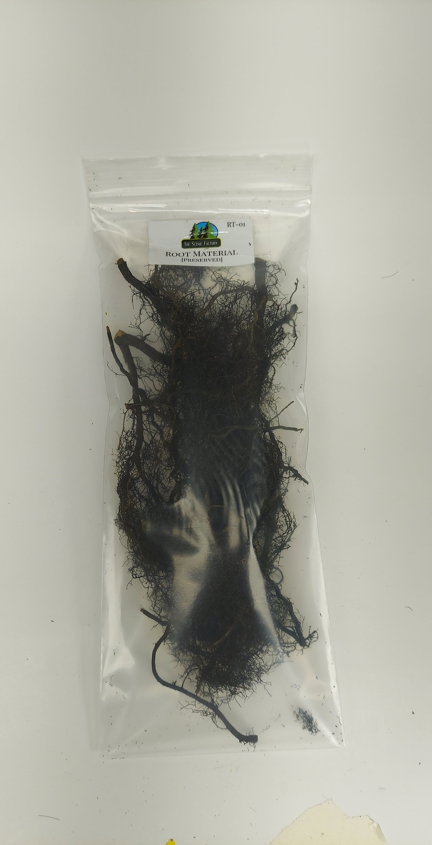 Preserved Root