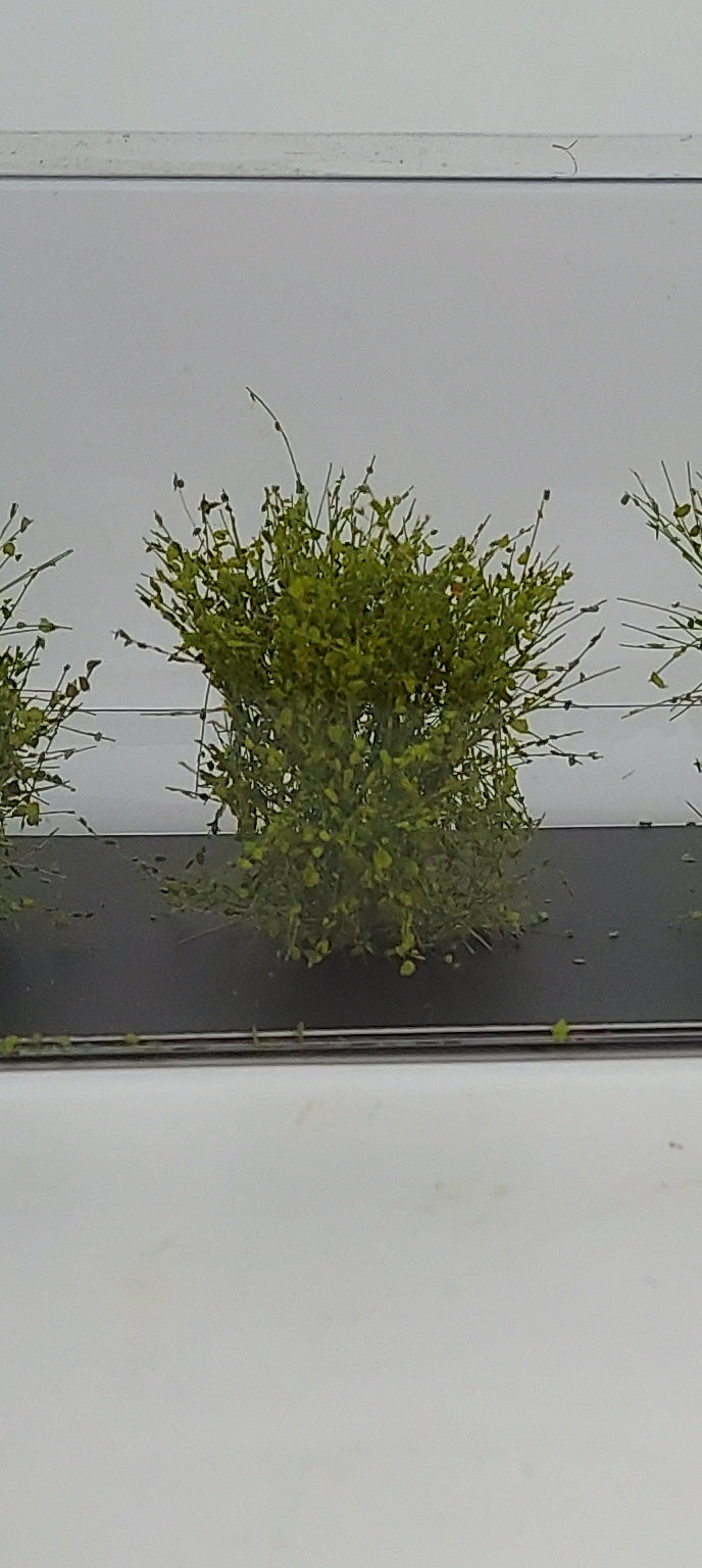 XL Bushes 30mm +/- [Olive]