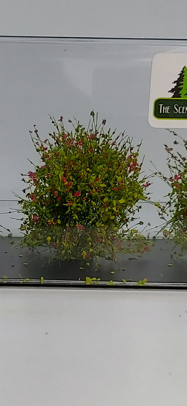 XL Bushes 30mm +/- [Bright Green w/Magenta Flowers]