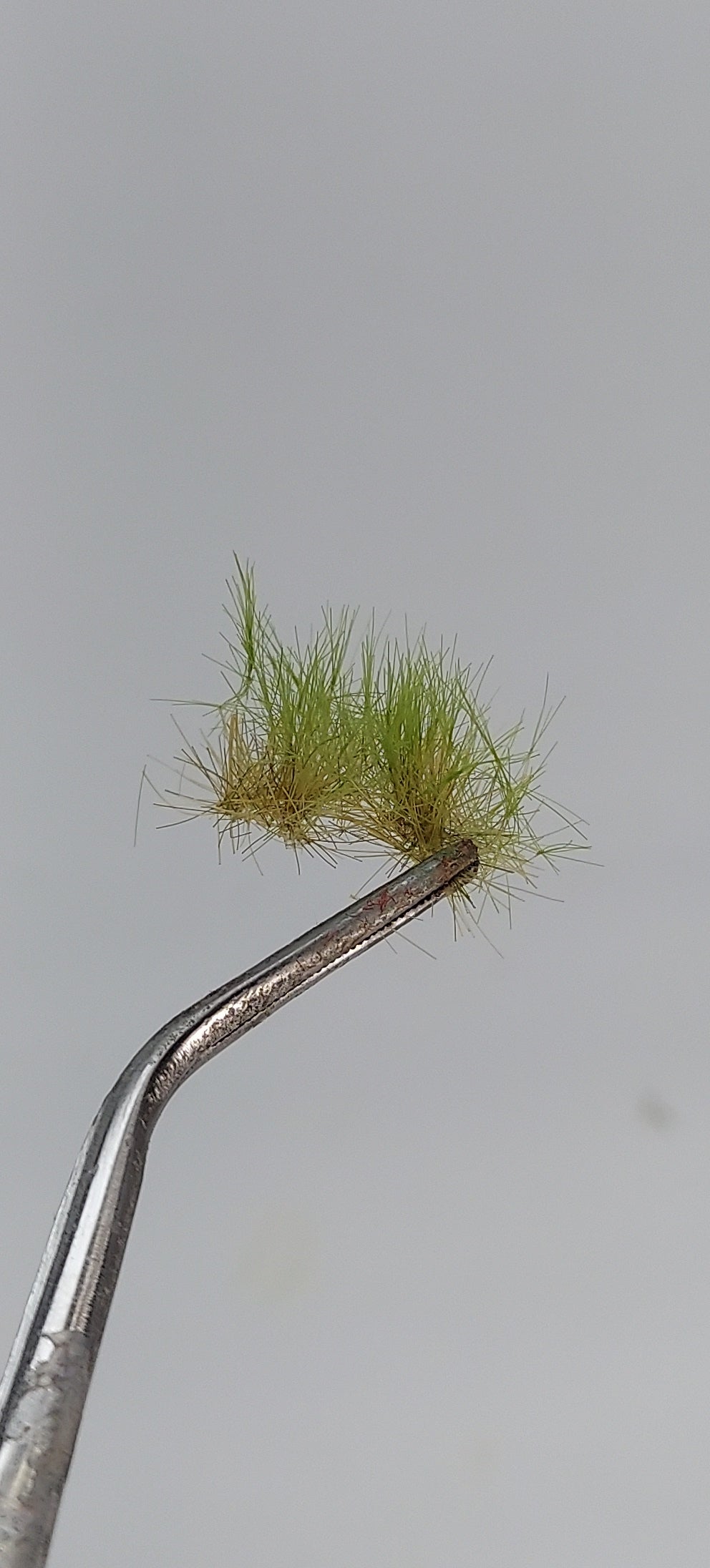 Layered Tufts [Spring] 4-8mm