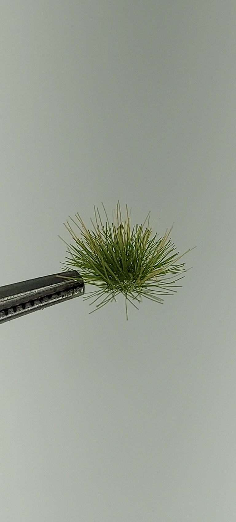 Tufts 4mm [Late Summer] – The Scenic Factory