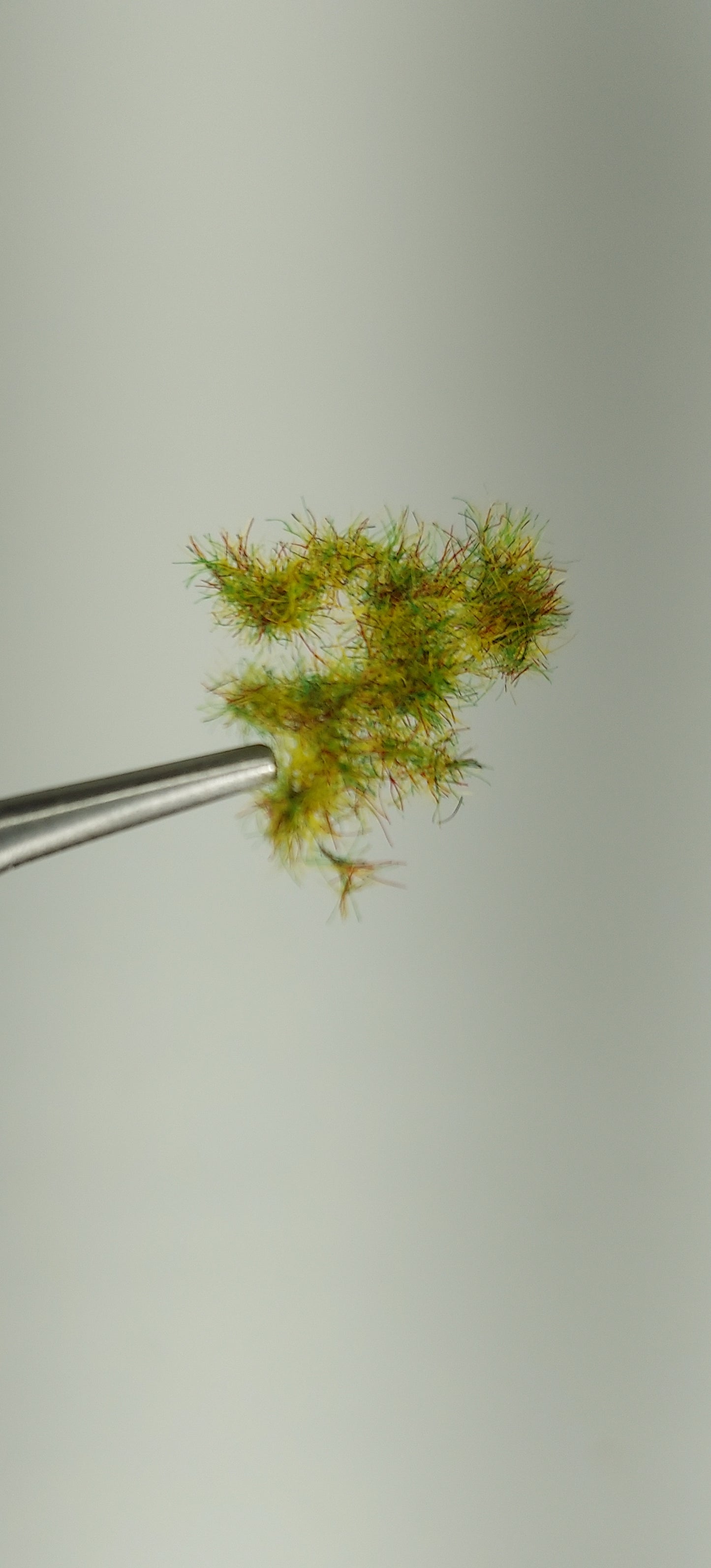 Layered Tufts [Late Spring] 2-4mm