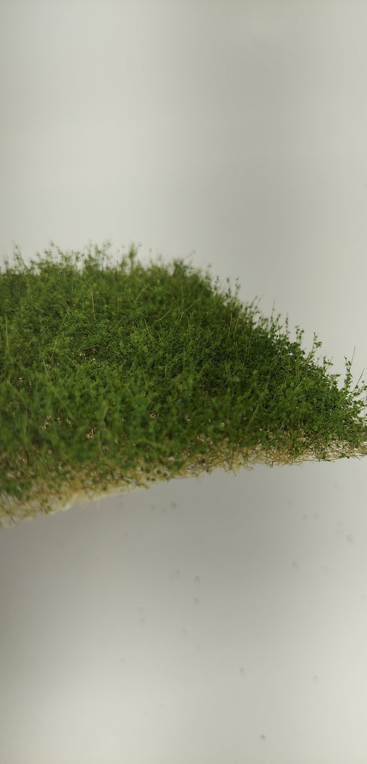 Weeds 13mm +/- [Spring Green]