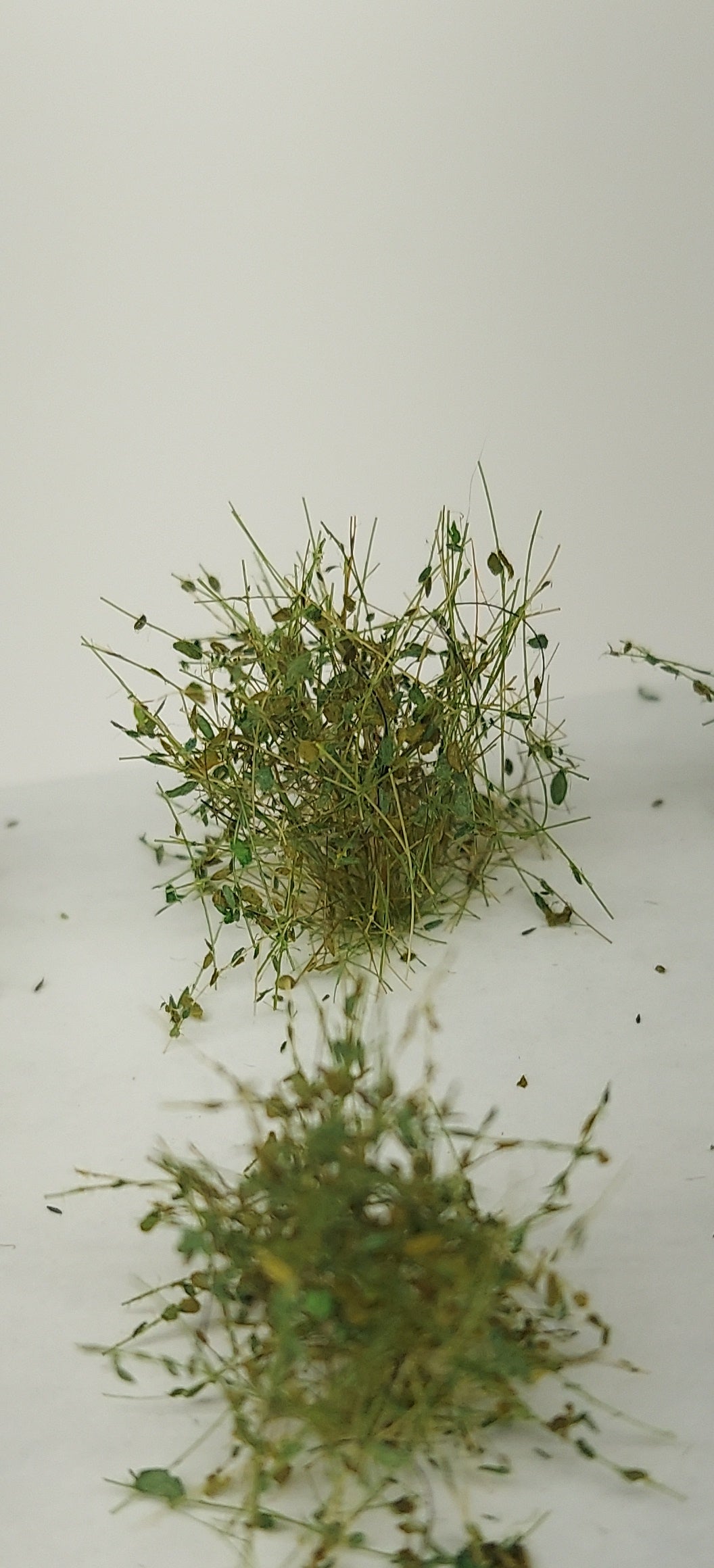 Leafy Tufts 20mm +/- [Late Summer] – The Scenic Factory