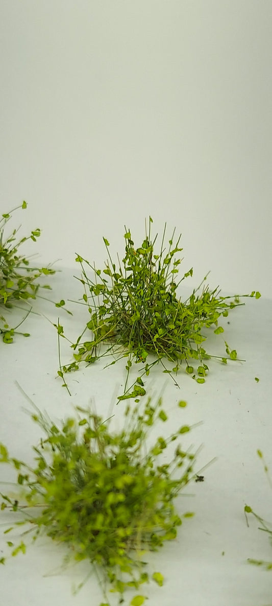 Leafy Tufts 20mm +/- [ Bright Spring]