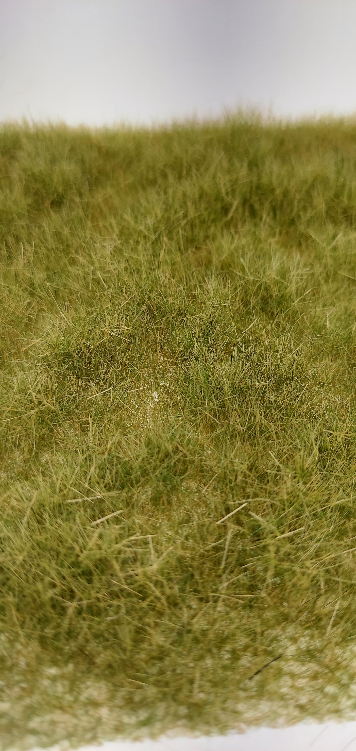 Grass Mat [Late Summer] 4-15mm