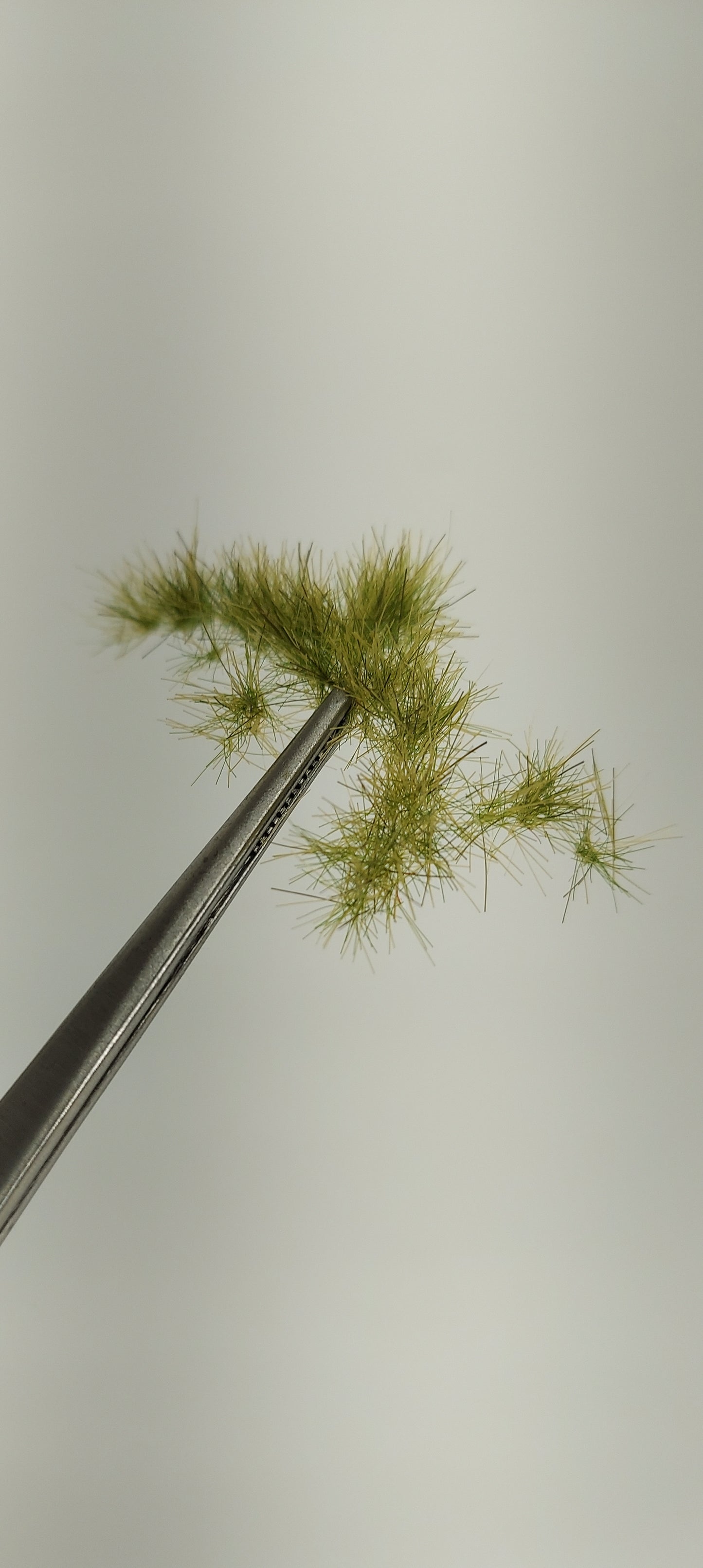 Tuft Sheet [Mid-Summer] 4-6mm