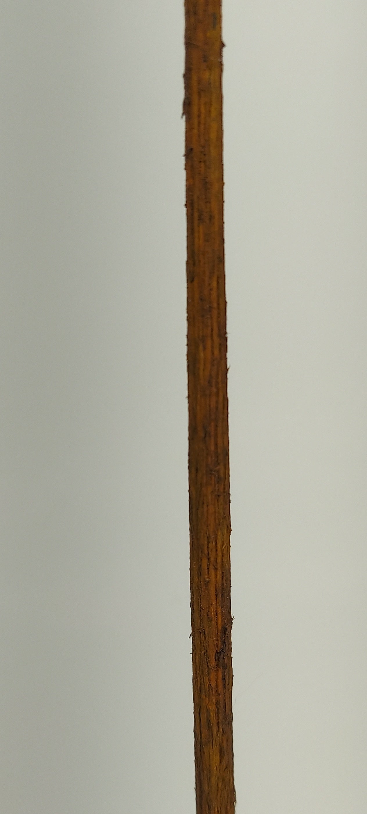 Pine Tree Kit [Carved Regular]