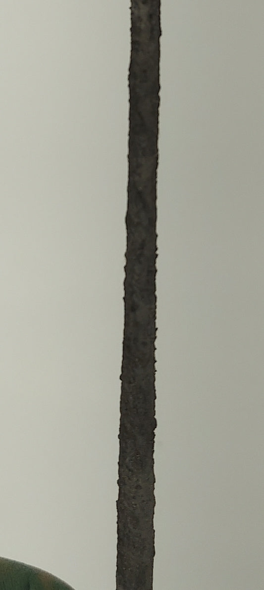 Pine Tree Trunk [Bark Textured]