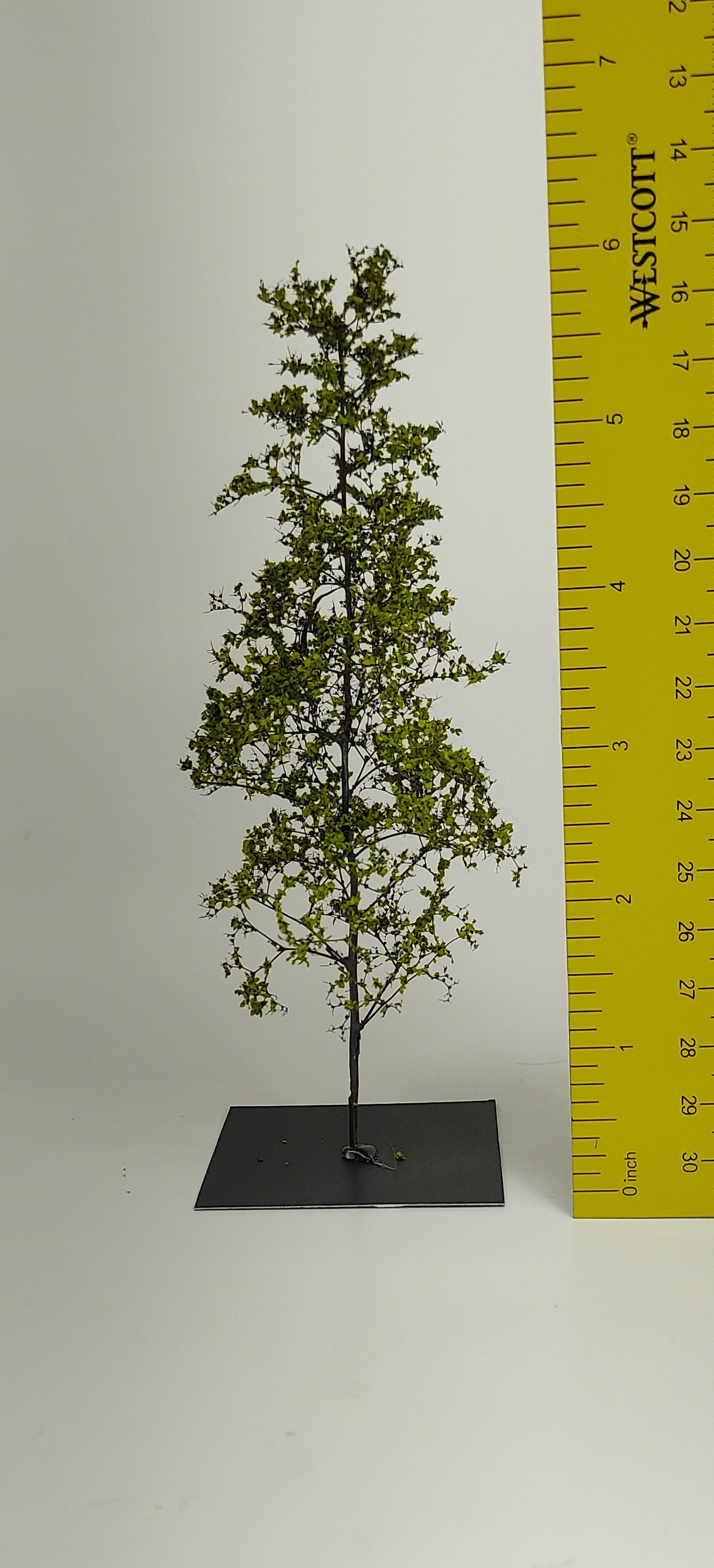 Sapling 6"-7" [Bright Spring]