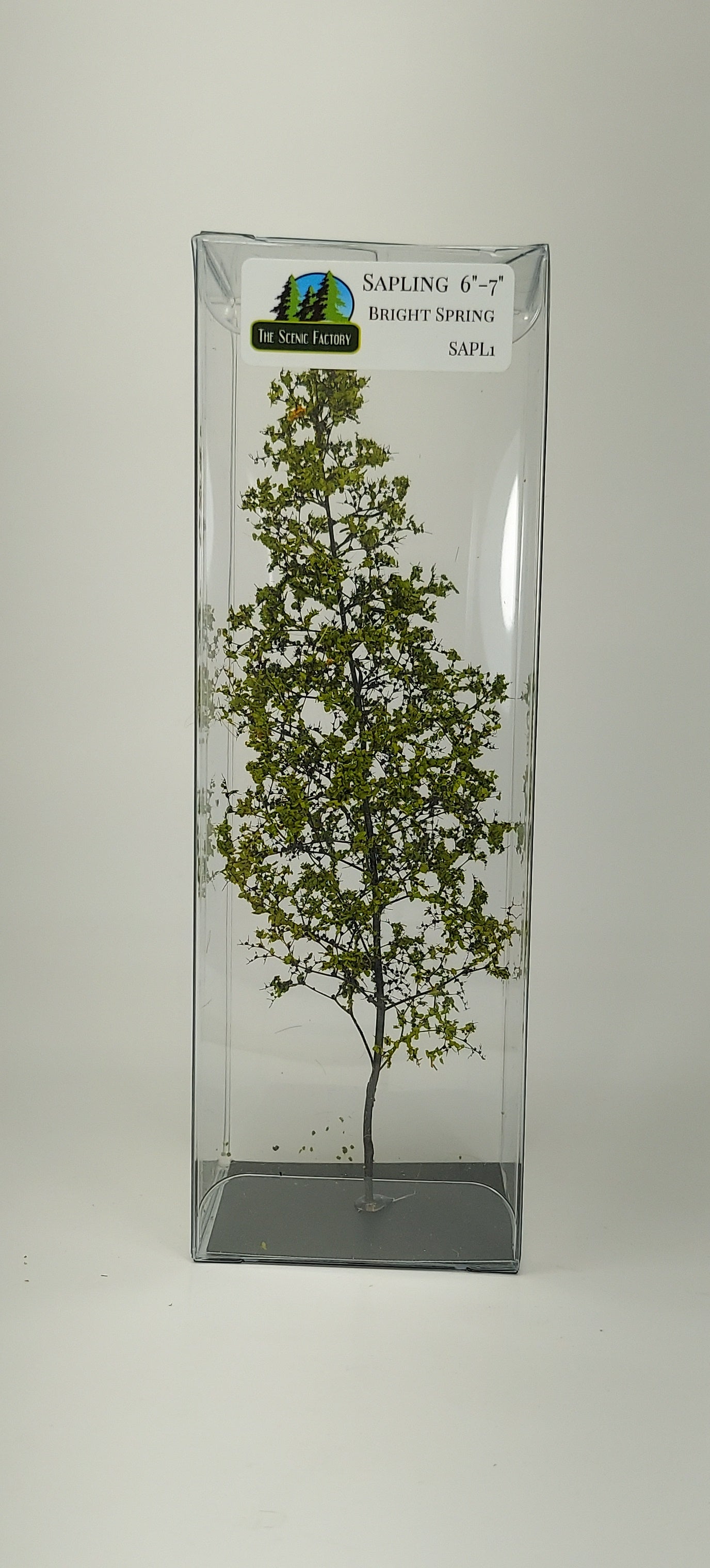 Sapling 6"-7" [Bright Spring]